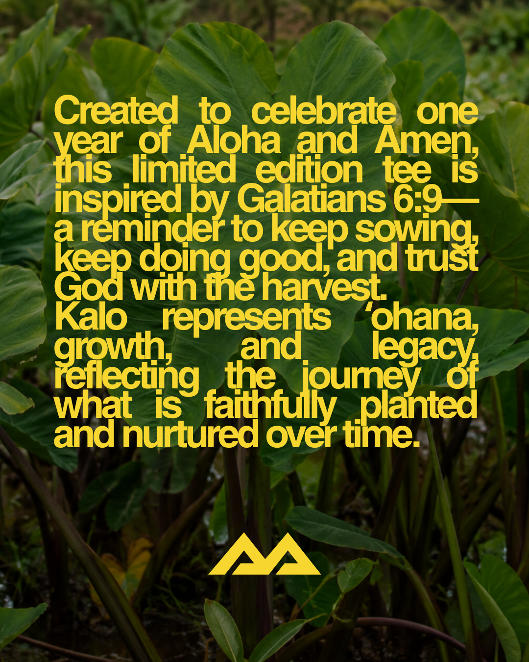 Kalo Tee